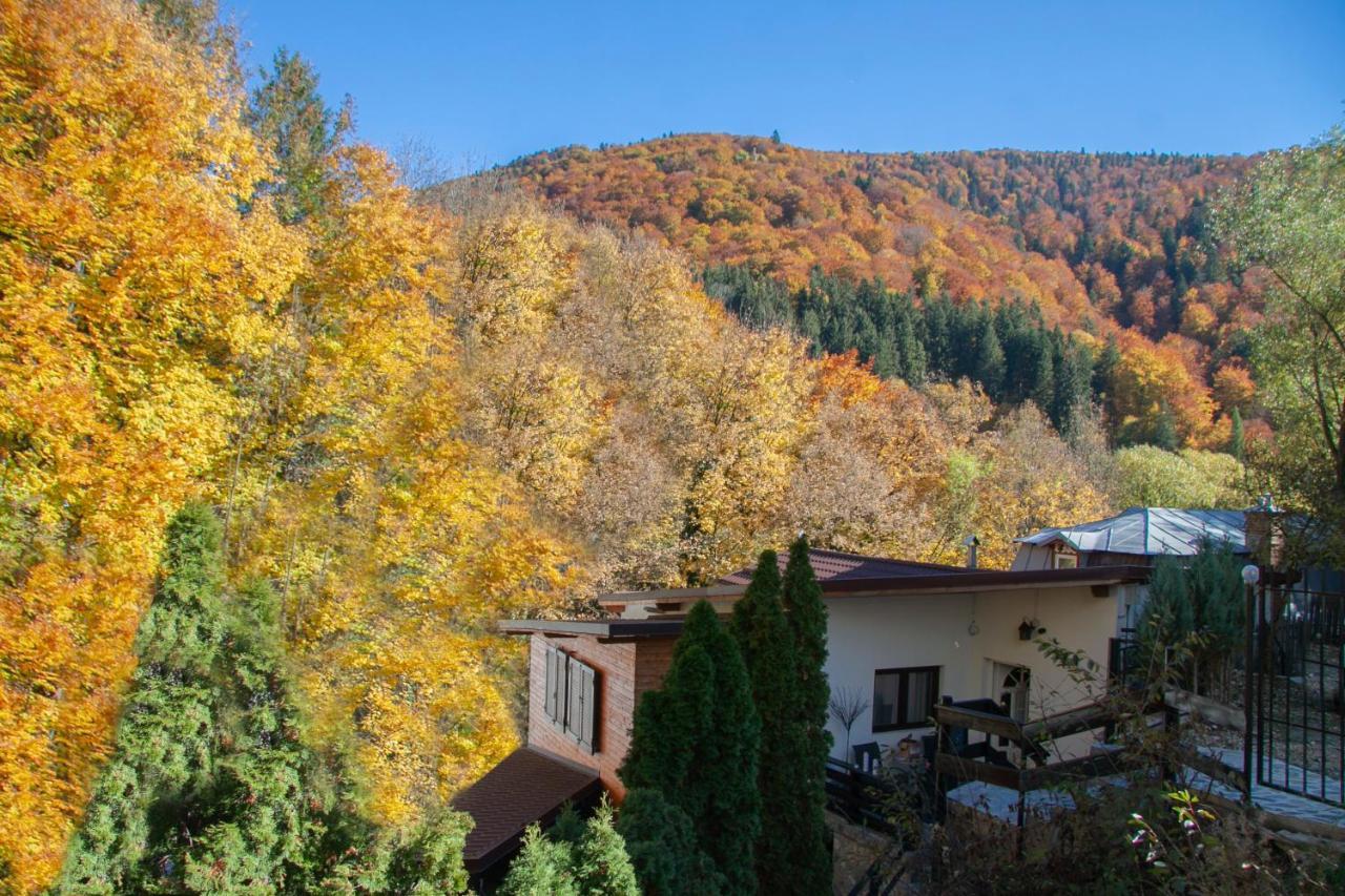 Hotel Casa Flandria à Sinaia Extérieur photo