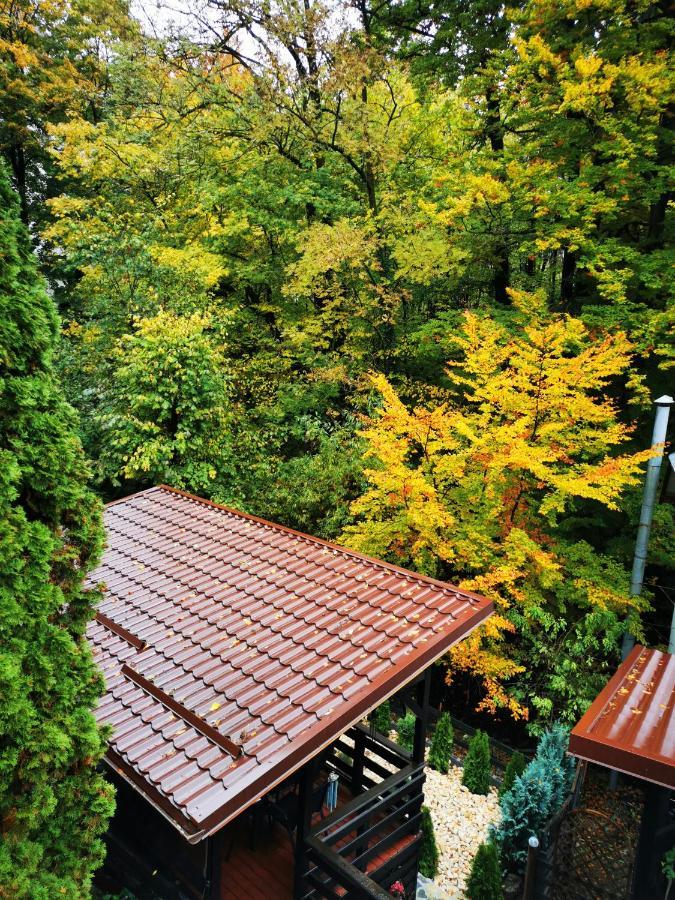 Hotel Casa Flandria à Sinaia Extérieur photo