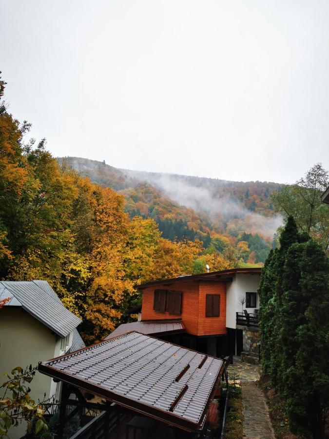 Hotel Casa Flandria à Sinaia Extérieur photo