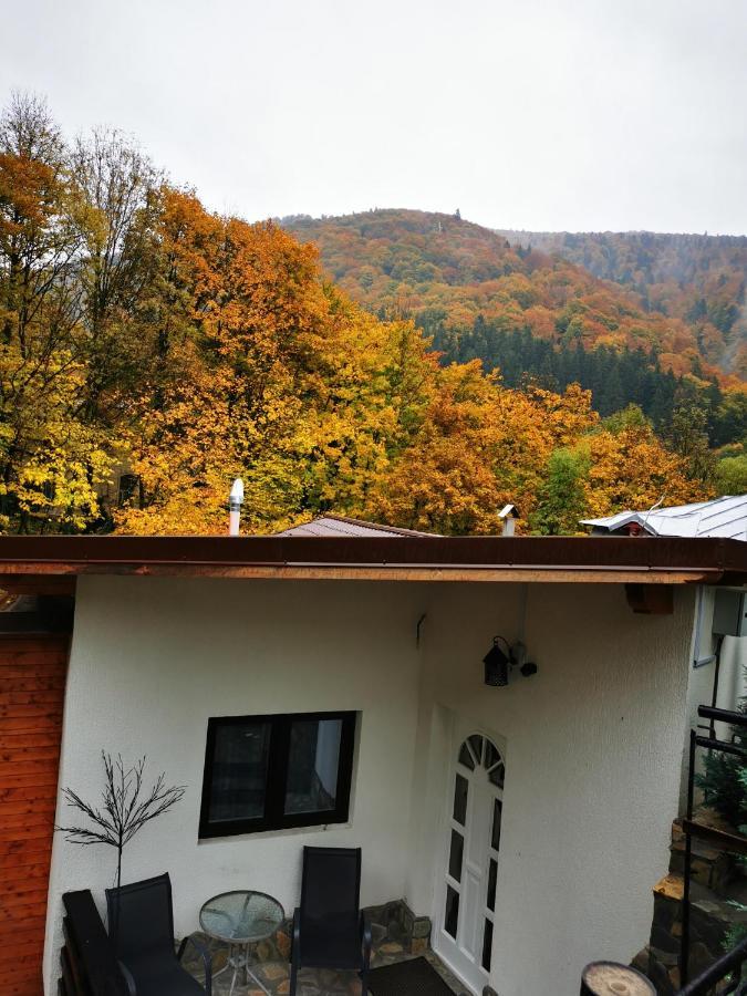 Hotel Casa Flandria à Sinaia Extérieur photo