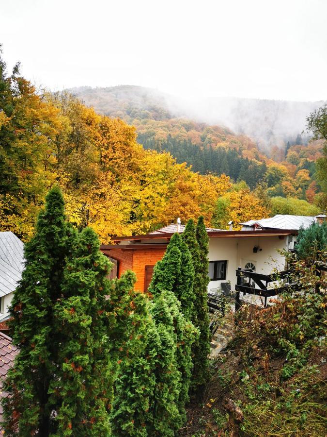 Hotel Casa Flandria à Sinaia Extérieur photo